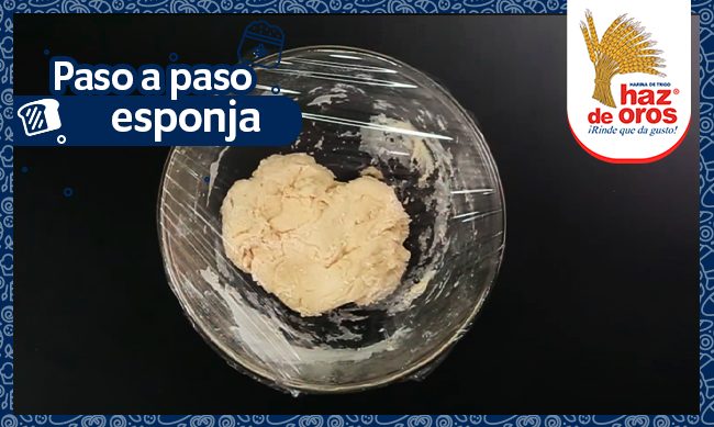 esponja